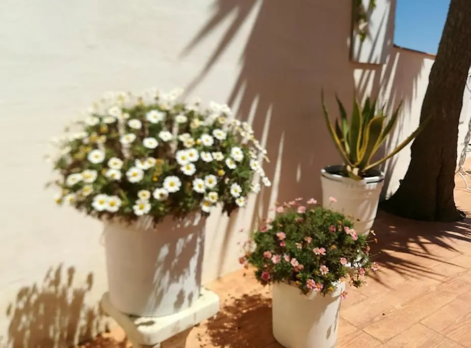Casa Vacacional Villa Bellvei del Penedes Holiday home